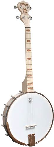 Deering Goodtime 17-Fret Tenor Banjo Deering Goodtime 17-Fret Tenor Banjo