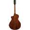 Cort Limited Edition Modern Burst Back View