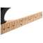 Fender guitarguitar Exclusive Ultra II Stratocaster Roasted Maple Fingerboard Black Front View