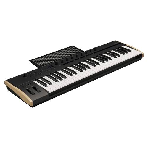 Korg Keystage 49 Korg Keystage 49