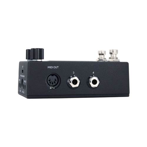 Walrus Audio Canvas Clock Walrus Audio Canvas Clock