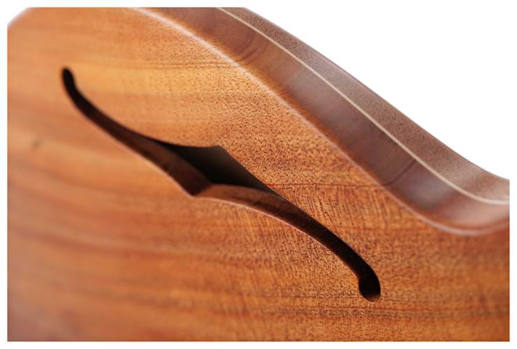 Lowden GL-J Tasmanian Blackwood Lowden GL-J Tasmanian Blackwood