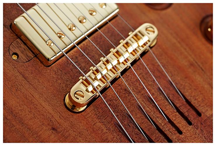 Lowden GL-J Tasmanian Blackwood Lowden GL-J Tasmanian Blackwood