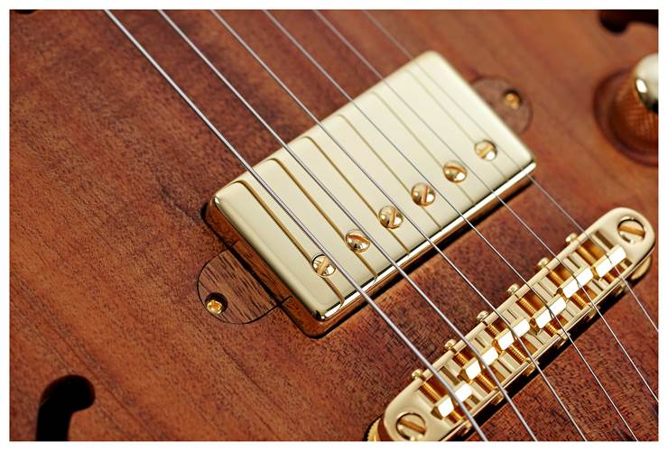 Lowden GL-J Tasmanian Blackwood Lowden GL-J Tasmanian Blackwood