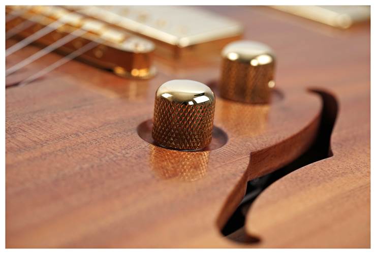 Lowden GL-J Tasmanian Blackwood Lowden GL-J Tasmanian Blackwood