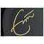 Martin 000-42 Eric Clapton 30th Anniversary #2961953 Front View