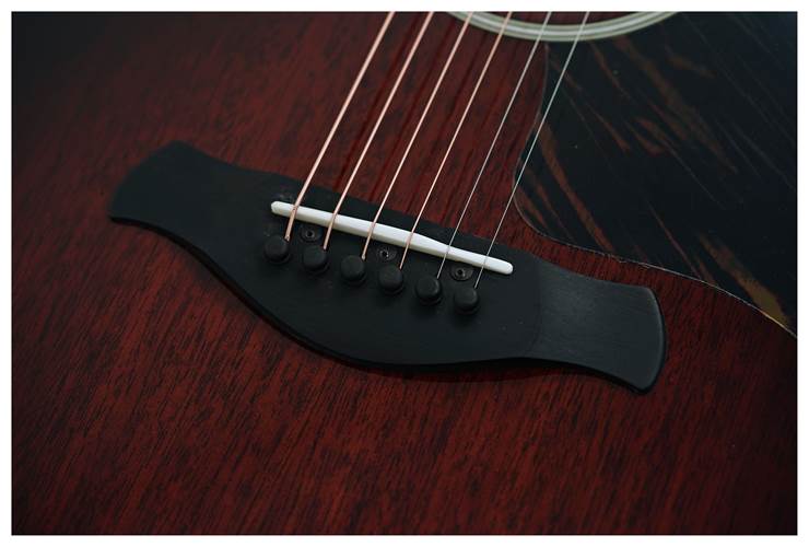 Taylor Builder's Edition 524ce Grand Auditorium #1211074089 Taylor Builder's Edition 524ce Grand Auditorium #1211074089