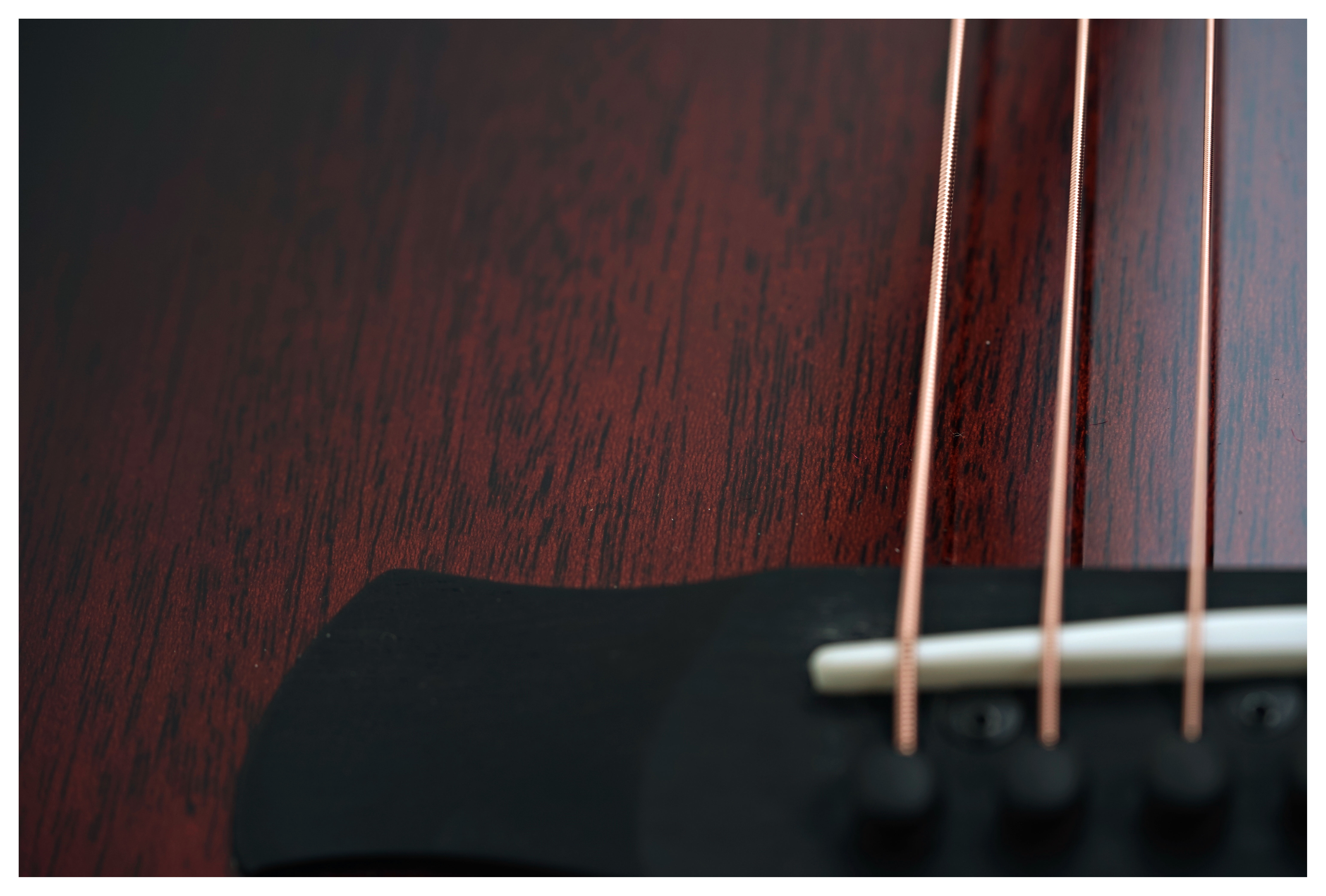 Taylor Builder's Edition 524ce Grand Auditorium #1211074089