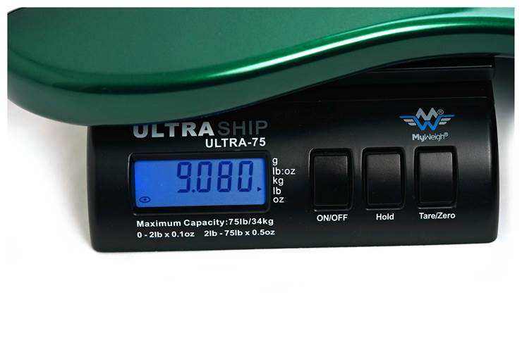 Dingwall SP1 5-String Gloss Dark Candy Green #IE250203536 Dingwall SP1 5-String Gloss Dark Candy Green #IE250203536