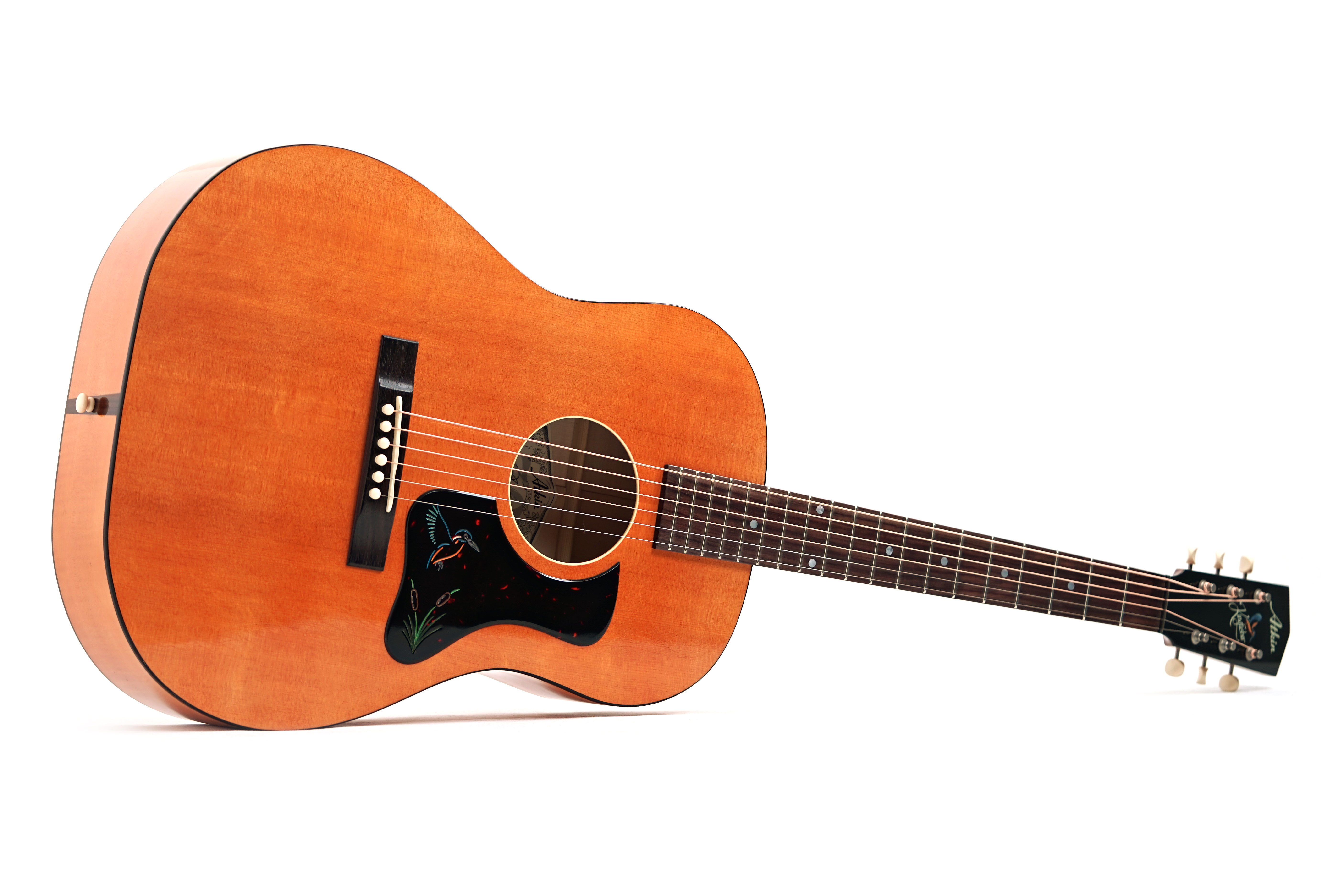 Atkin The 19 Kingfisher 