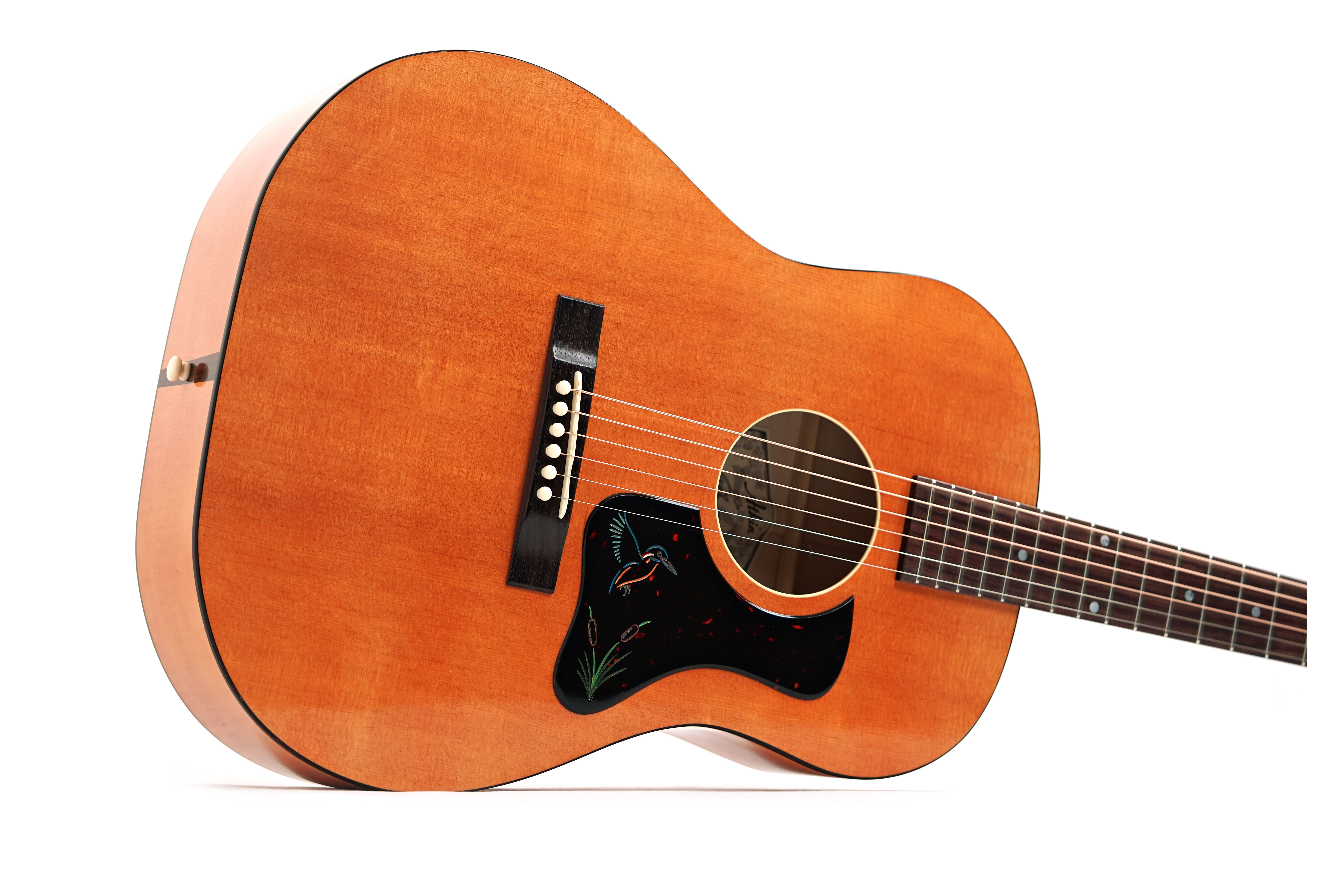 Atkin The 19 Kingfisher 