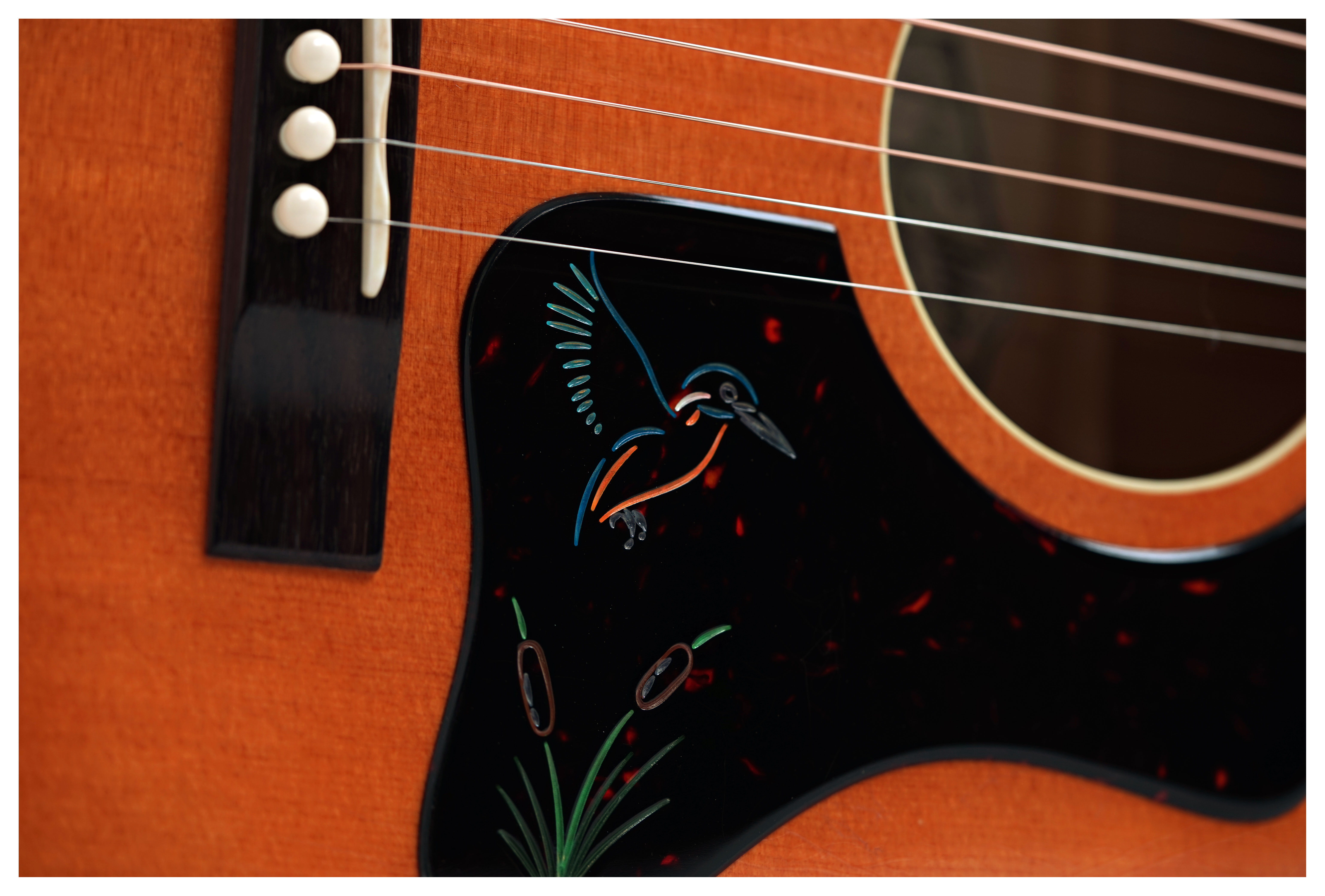 Atkin The 19 Kingfisher 