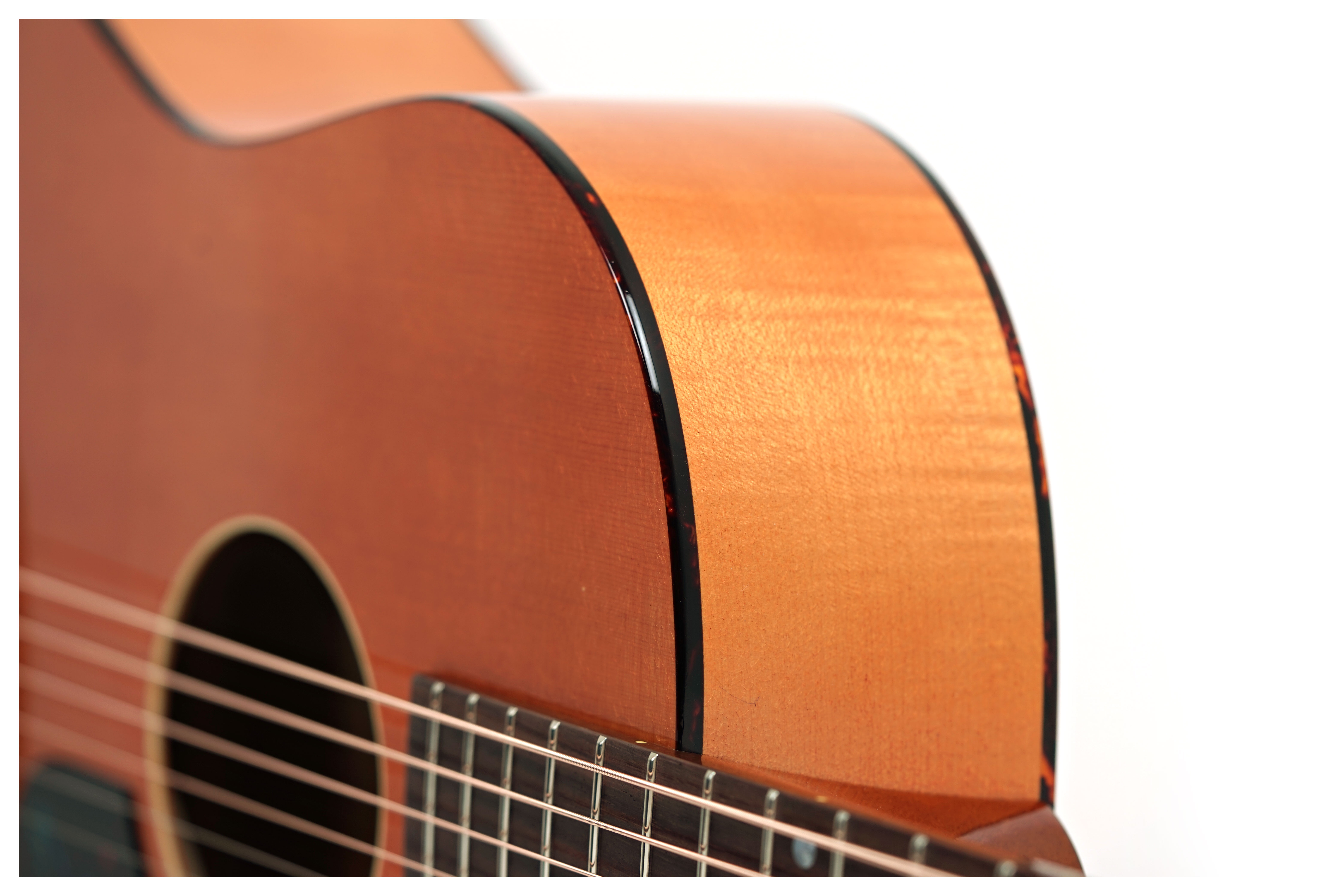 Atkin The 19 Kingfisher 