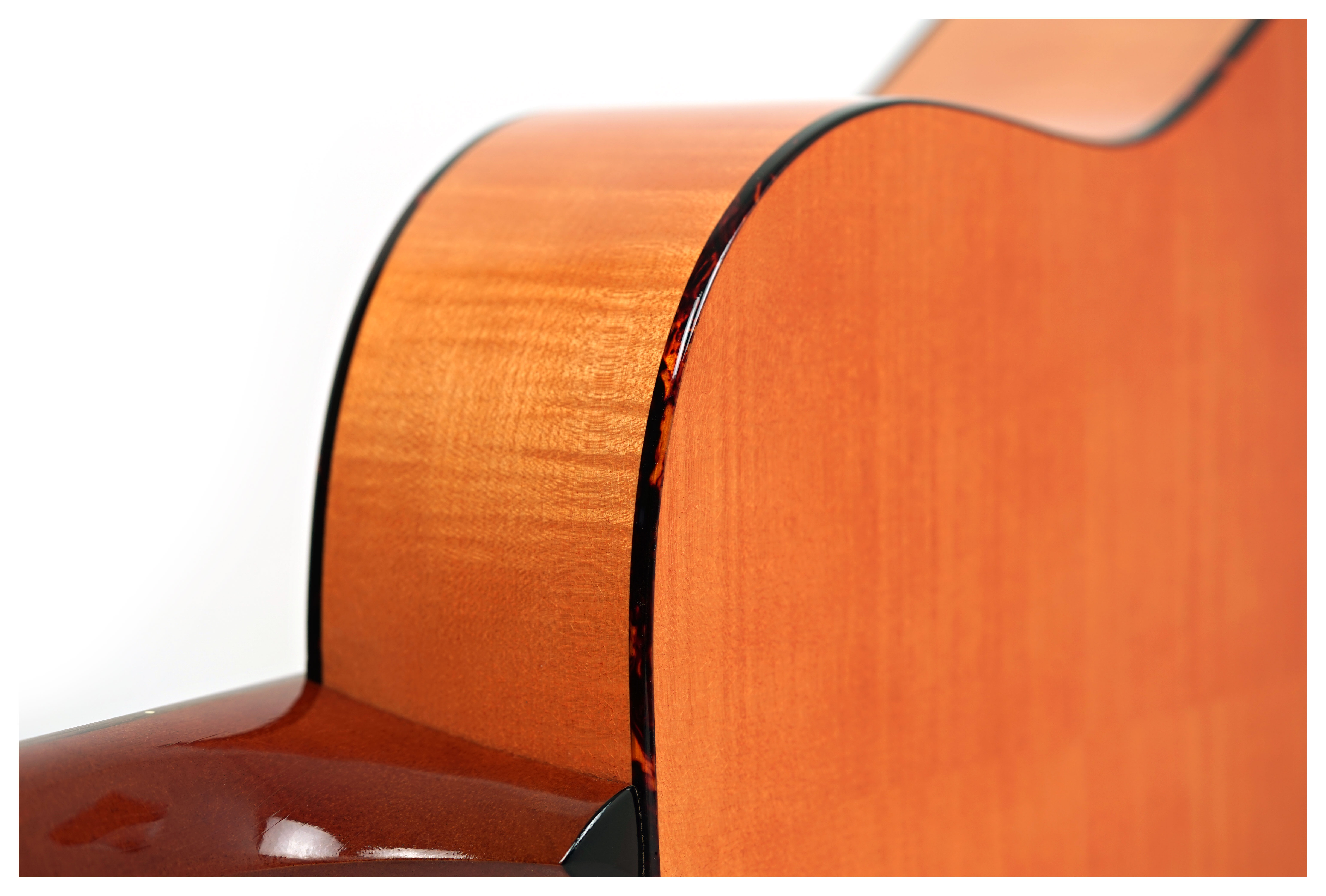 Atkin The 19 Kingfisher 