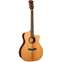 Cort Gold A10 Cocobolo Natural Front View