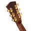 Cort Gold A10 Cocobolo Natural Front View