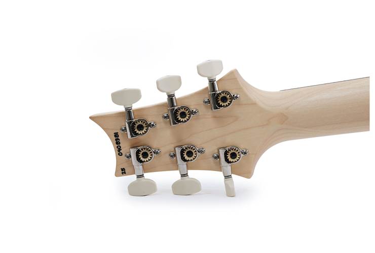 PRS CE22 Carroll Blue #0408381 PRS CE22 Carroll Blue #0408381