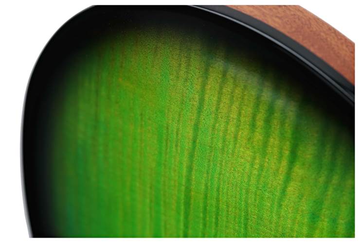 PRS Custom 24 Piezo Eriza Verde Smokeburst #0358751 PRS Custom 24 Piezo Eriza Verde Smokeburst #0358751