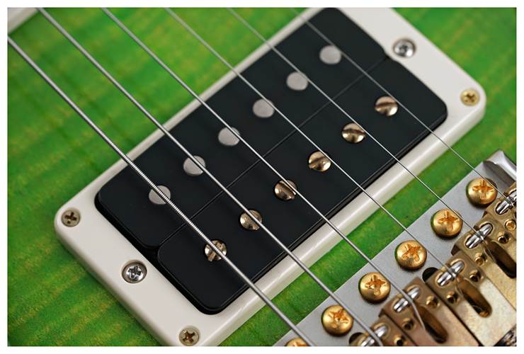 PRS Custom 24 Piezo Eriza Verde Smokeburst #0358751 PRS Custom 24 Piezo Eriza Verde Smokeburst #0358751