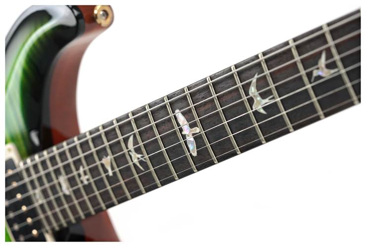PRS Custom 24 Piezo Eriza Verde Smokeburst #0358751 PRS Custom 24 Piezo Eriza Verde Smokeburst #0358751