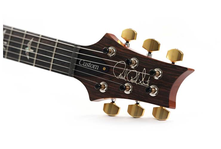 PRS Custom 24 Piezo Eriza Verde Smokeburst #0358751 PRS Custom 24 Piezo Eriza Verde Smokeburst #0358751