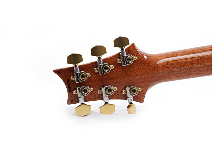 PRS Custom 24 Piezo Eriza Verde Smokeburst #0358751 PRS Custom 24 Piezo Eriza Verde Smokeburst #0358751
