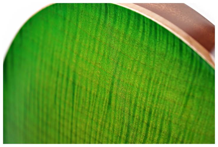 PRS McCarty 594 10 Top Eriza Verde #0378043 PRS McCarty 594 10 Top Eriza Verde #0378043