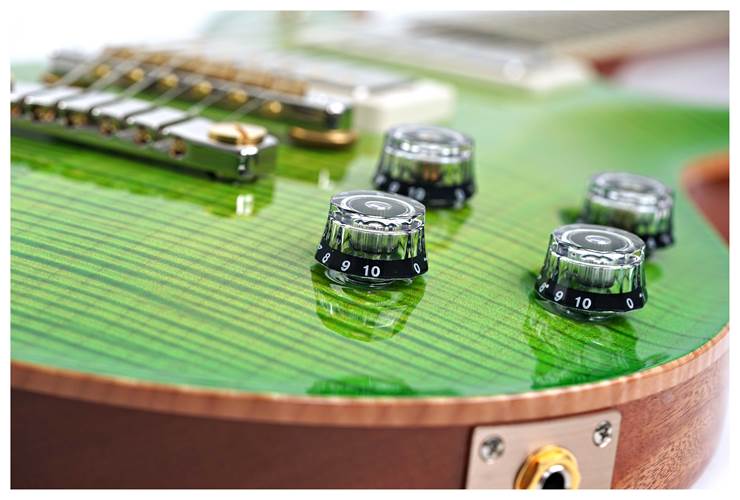 PRS McCarty 594 10 Top Eriza Verde #0378043 PRS McCarty 594 10 Top Eriza Verde #0378043