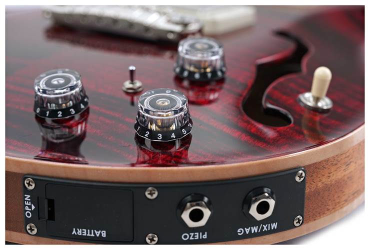 PRS Hollowbody II Piezo Red Tiger #0392824 PRS Hollowbody II Piezo Red Tiger #0392824