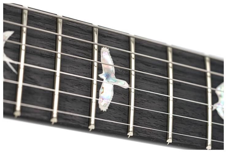 PRS Modern Eagle V Cobalt Smokeburst #0389526 PRS Modern Eagle V Cobalt Smokeburst #0389526