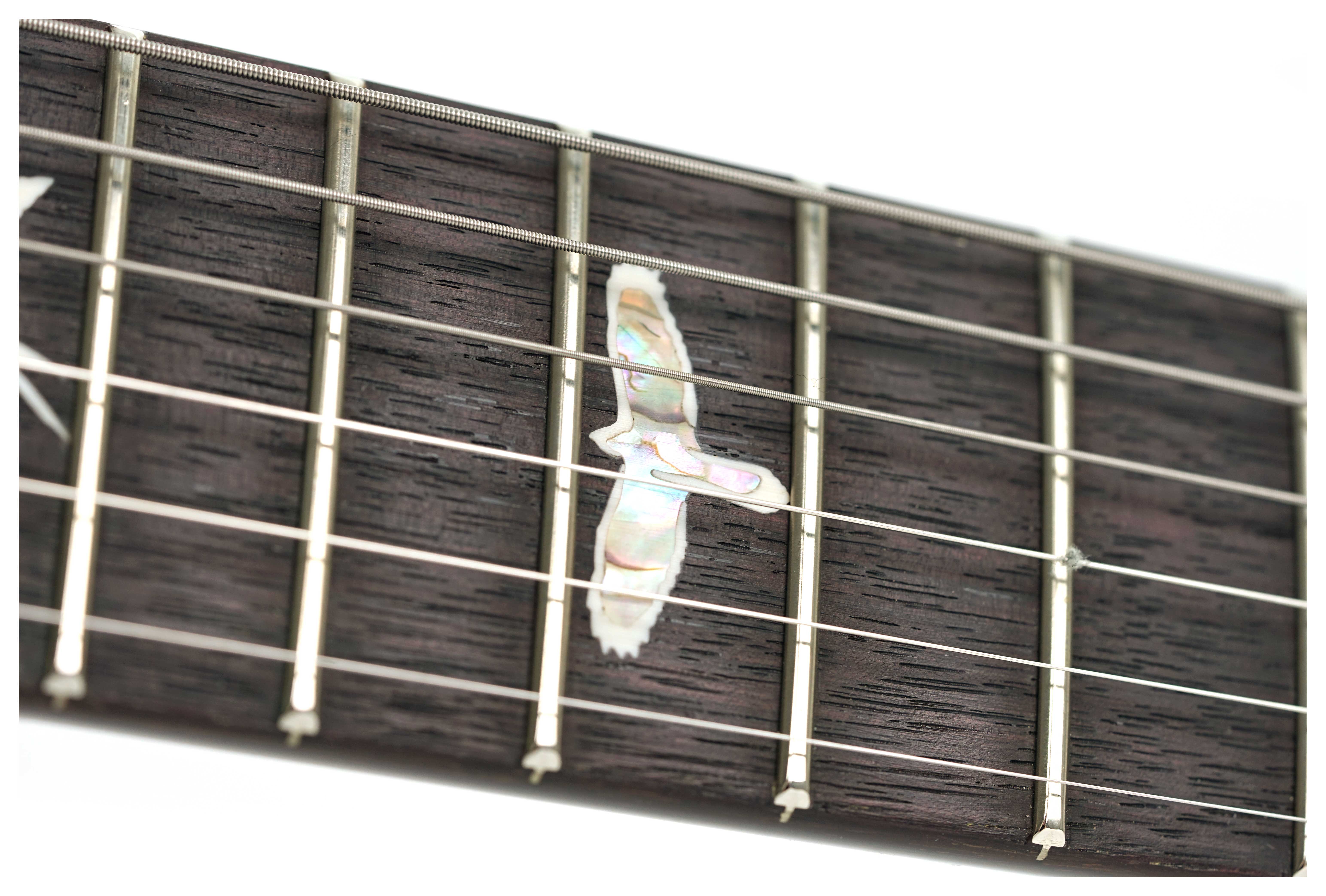 PRS Special Semi-Hollow Grey Black #0388327