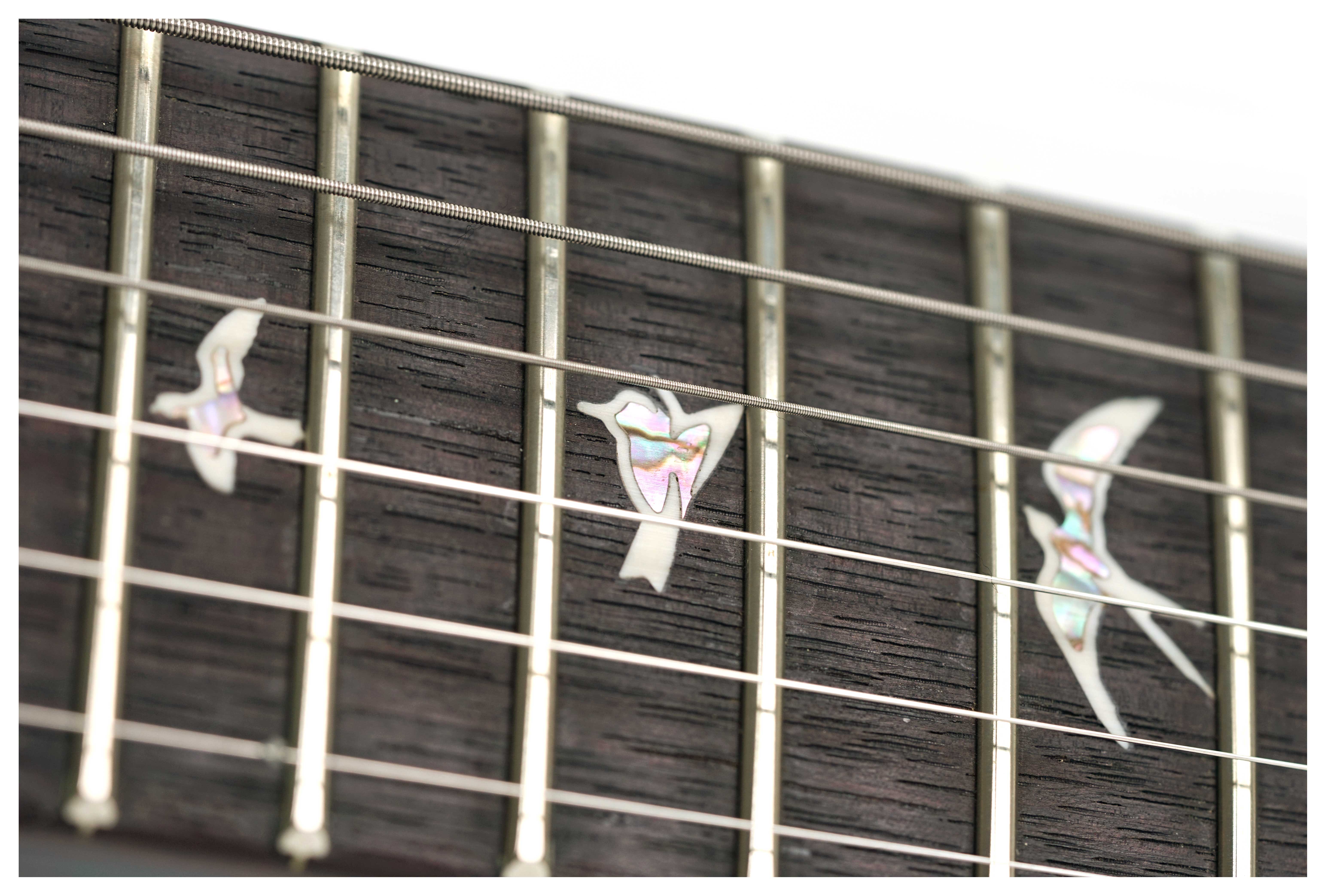PRS Special Semi-Hollow Grey Black #0388327