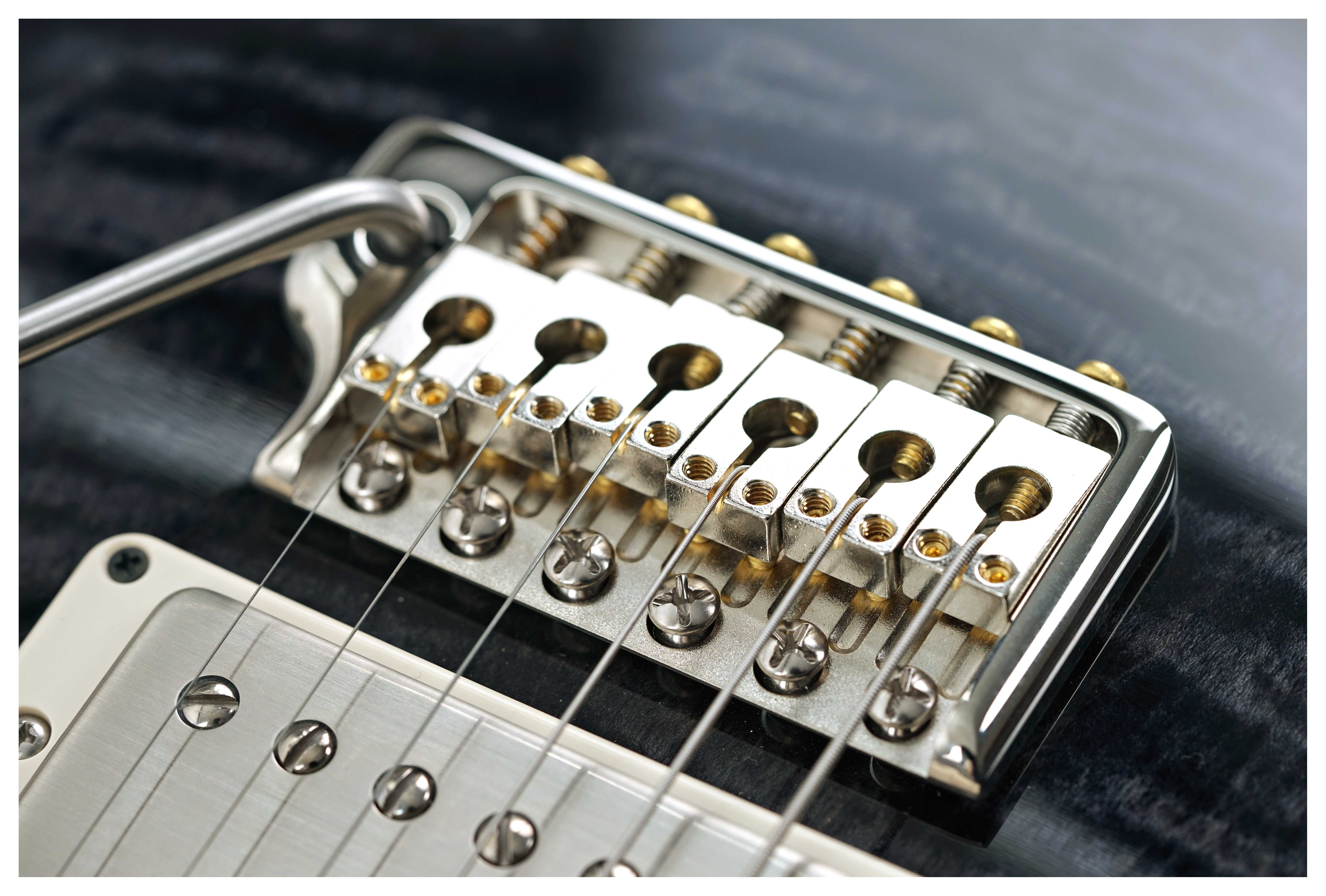 PRS Special Semi-Hollow Grey Black #0388327