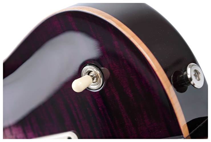 PRS Tremonti Charcoal Purple Burst #0387376 PRS Tremonti Charcoal Purple Burst #0387376