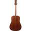Martin Chris Martin IV 1955 Special D-18 #M2976210 Back View