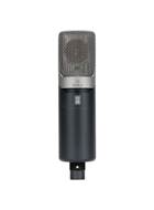 Slate Digital ML-1A Modeling Microphone