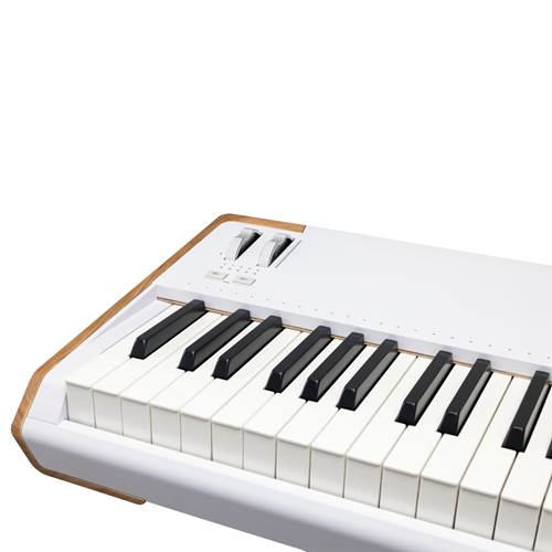 Arturia Astrolab 88 Arturia Astrolab 88