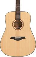 Vintage Performer Series Acoustic Folk Natural Gloss