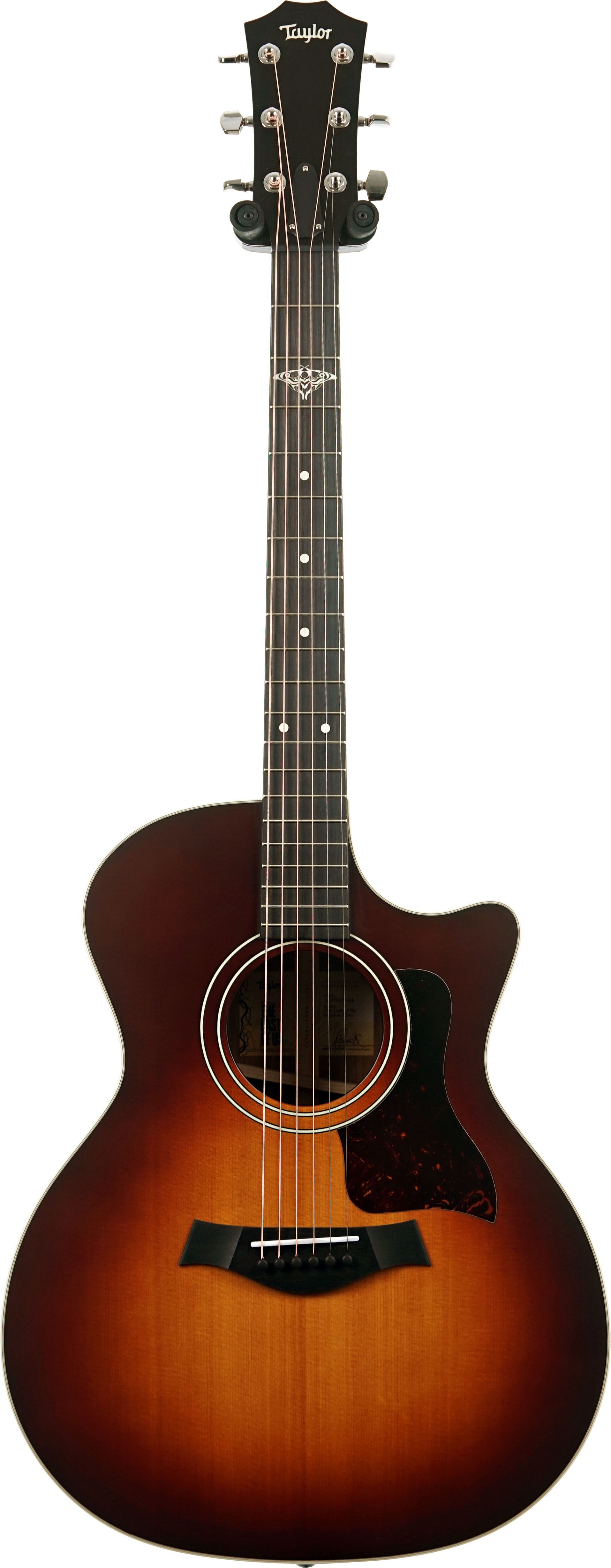 Taylor The Last of Us 314c Grand Auditorium #1207295004