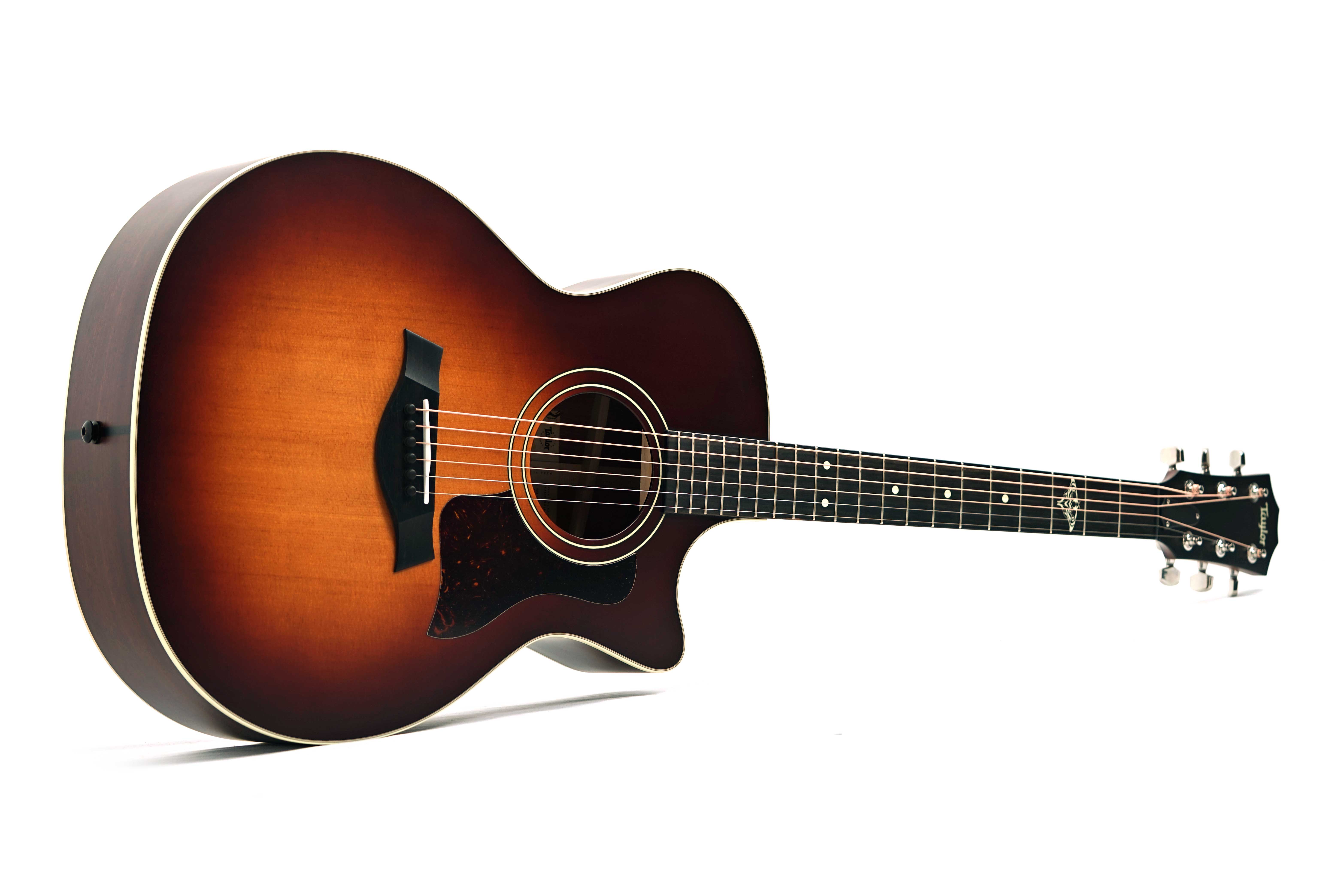 Taylor The Last of Us 314c Grand Auditorium #1207295004