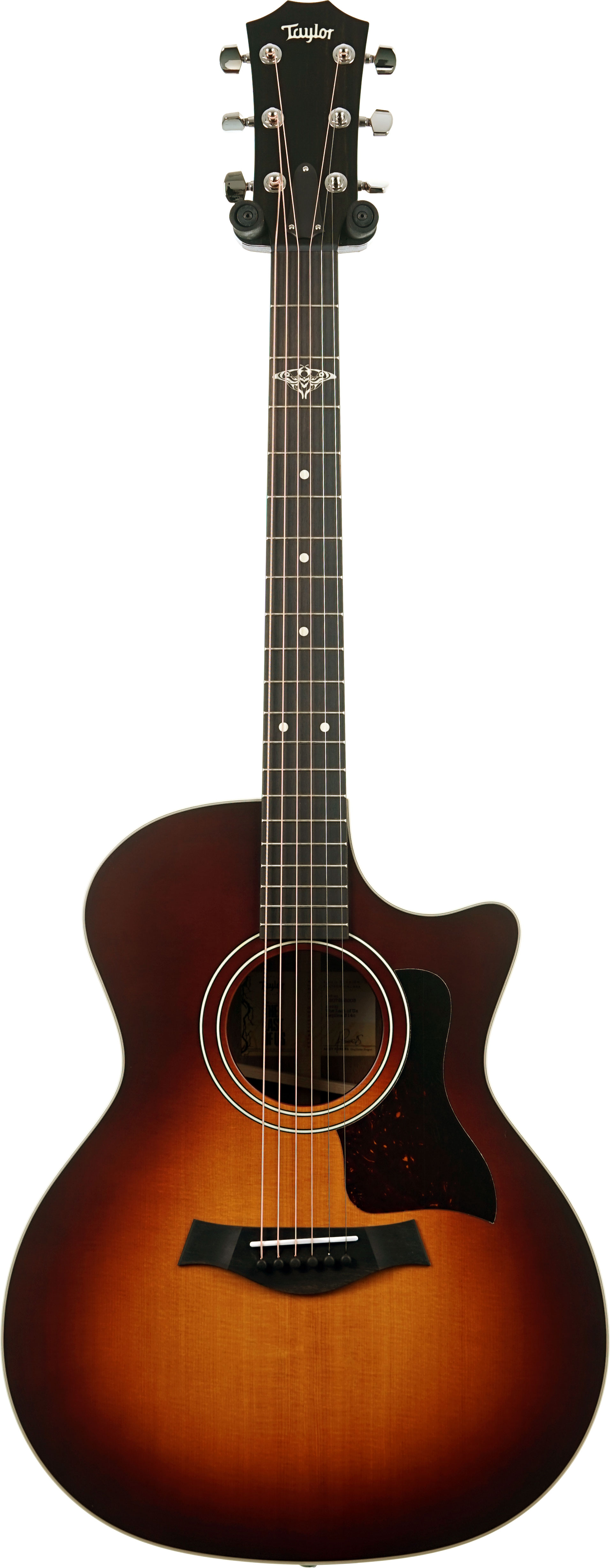 Taylor The Last of Us 314c Grand Auditorium #1207295003