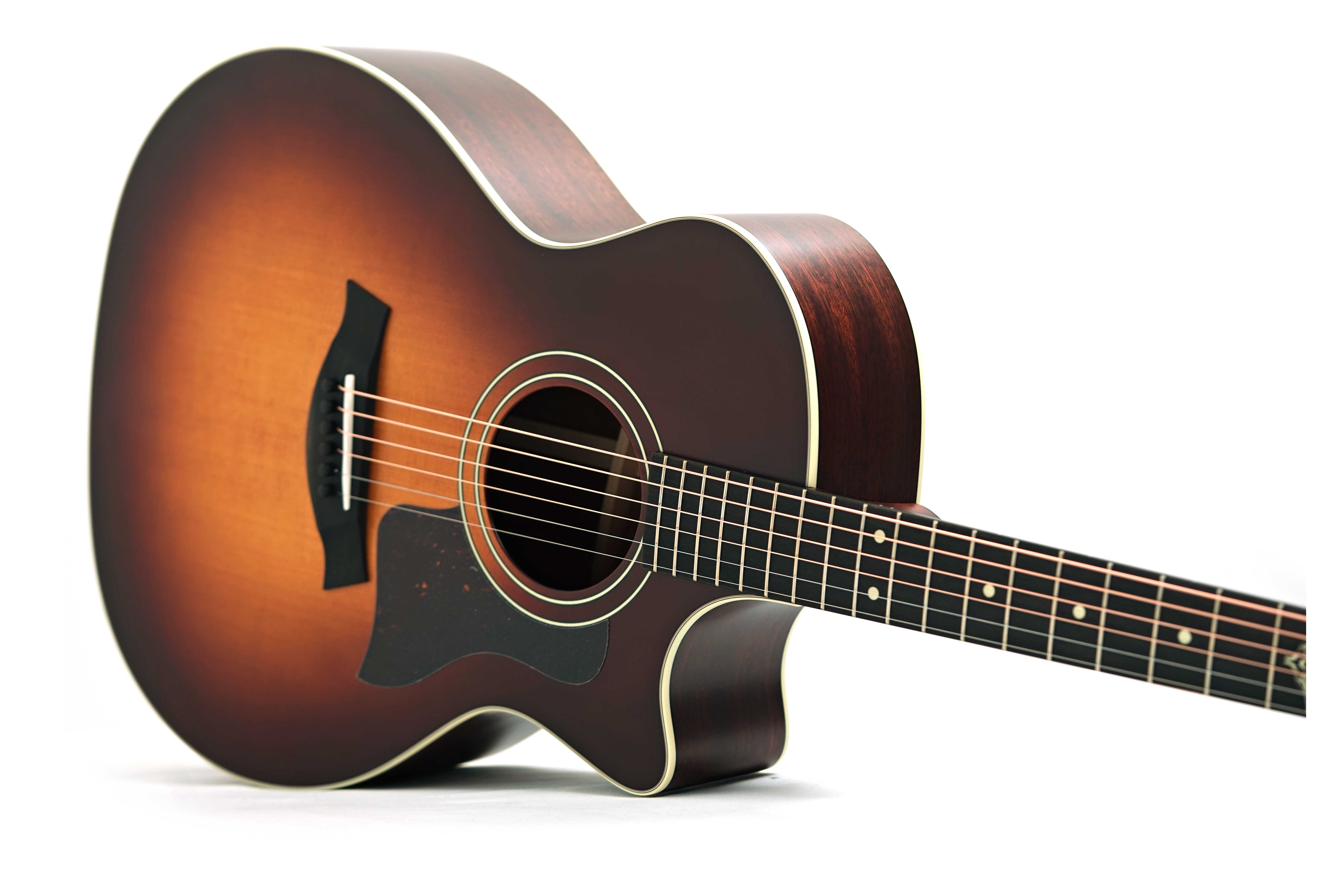 Taylor The Last of Us 314c Grand Auditorium #1207295003