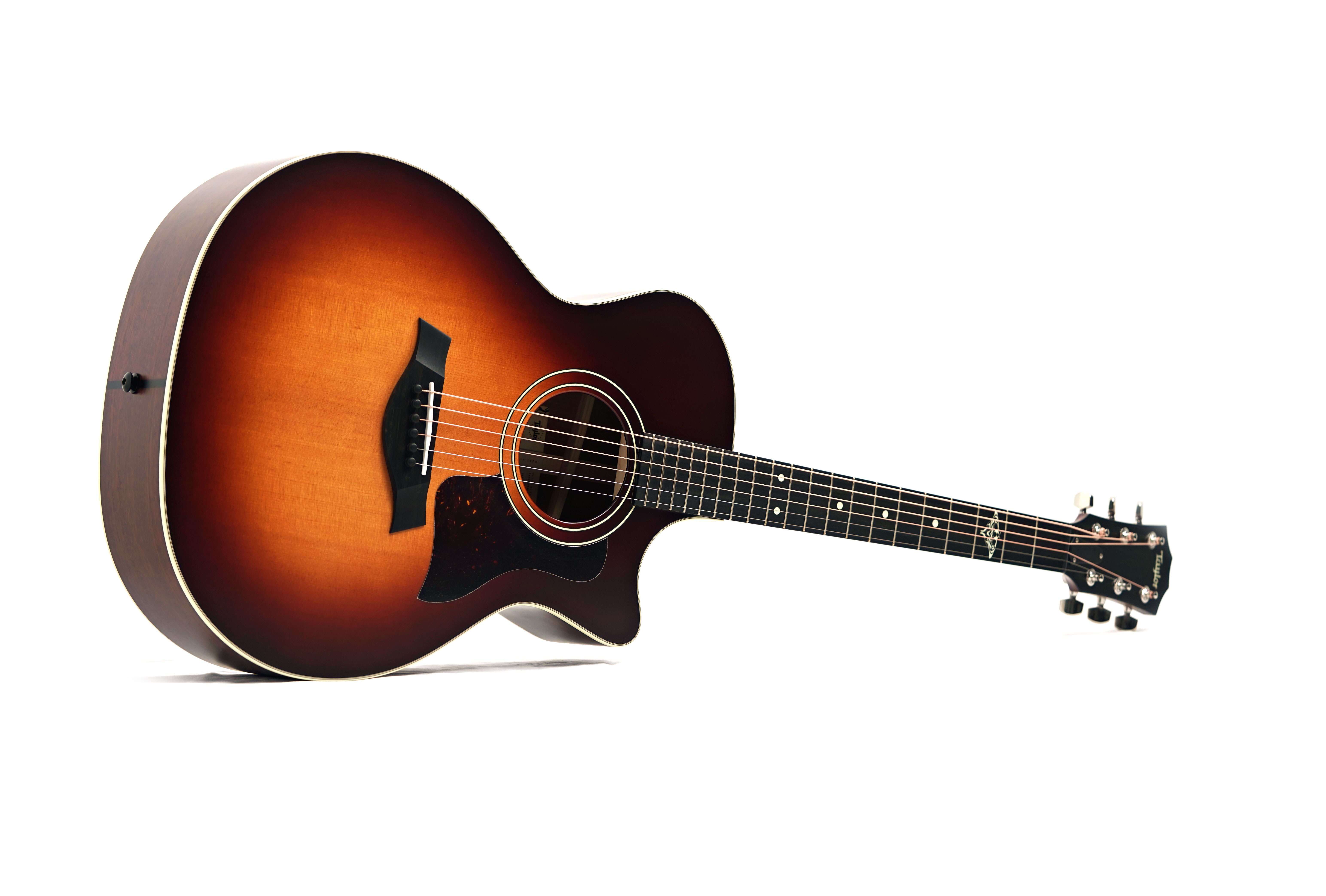 Taylor The Last of Us 314c Grand Auditorium #1210315042