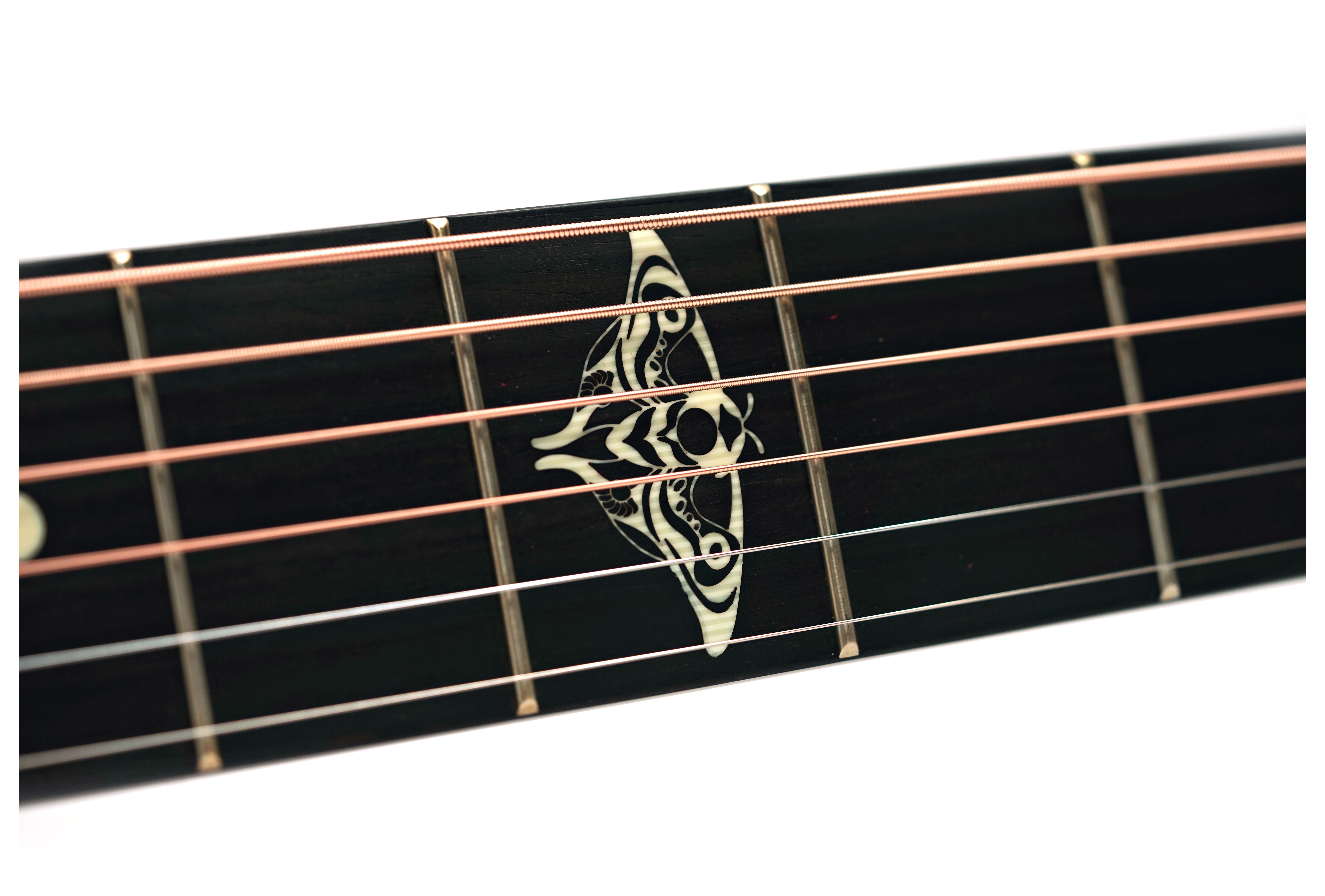 Taylor The Last of Us 314c Grand Auditorium #1210315042