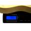 Fender Limited Edition Vintera II Roadworn 60s Telecaster Blonde Maple Fingerboard #MX25069693 Front View