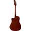 Fender California Standard Redondo CE Natural Back View