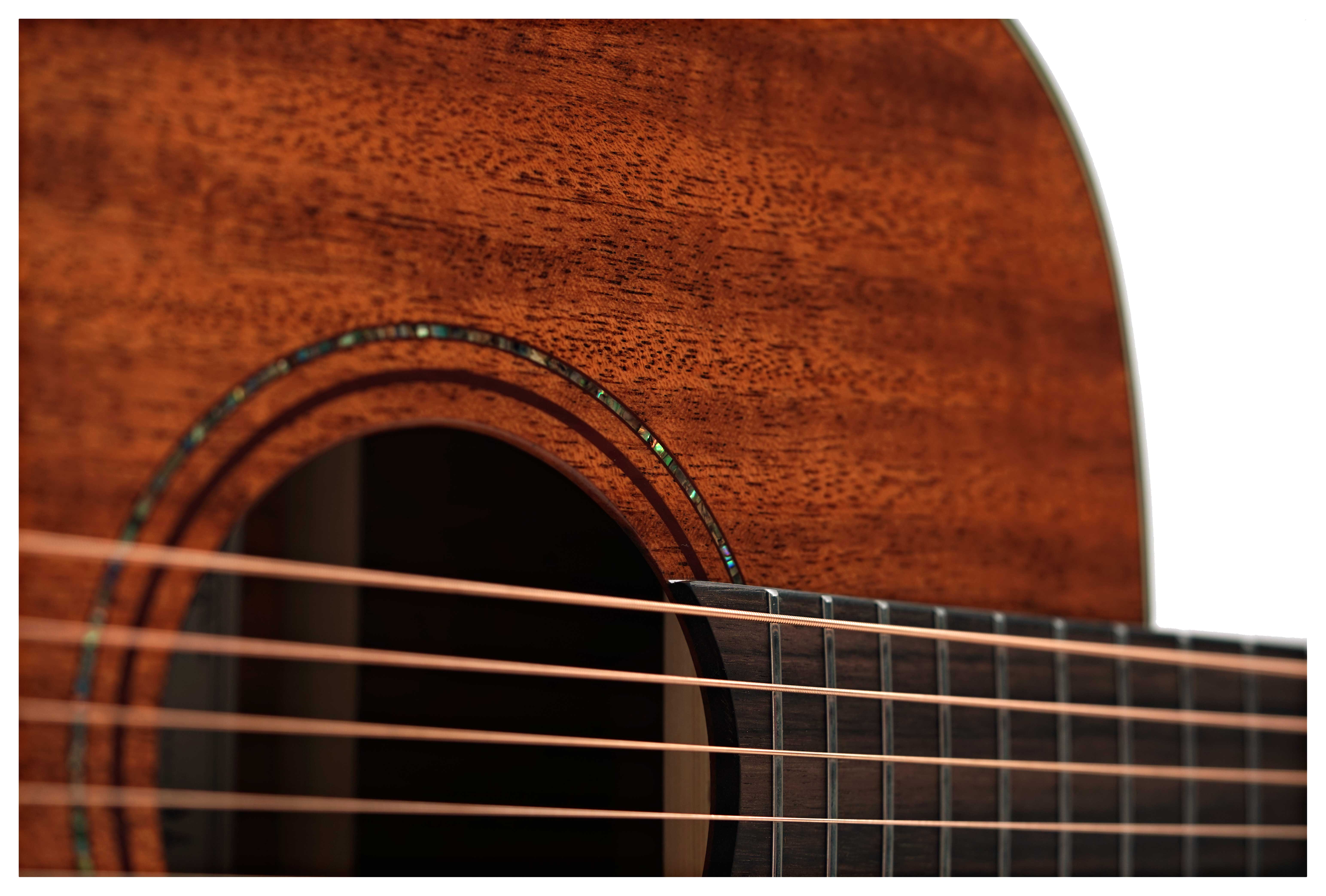 Alvarez Limited Edition Artist Series AF66 Mahogany