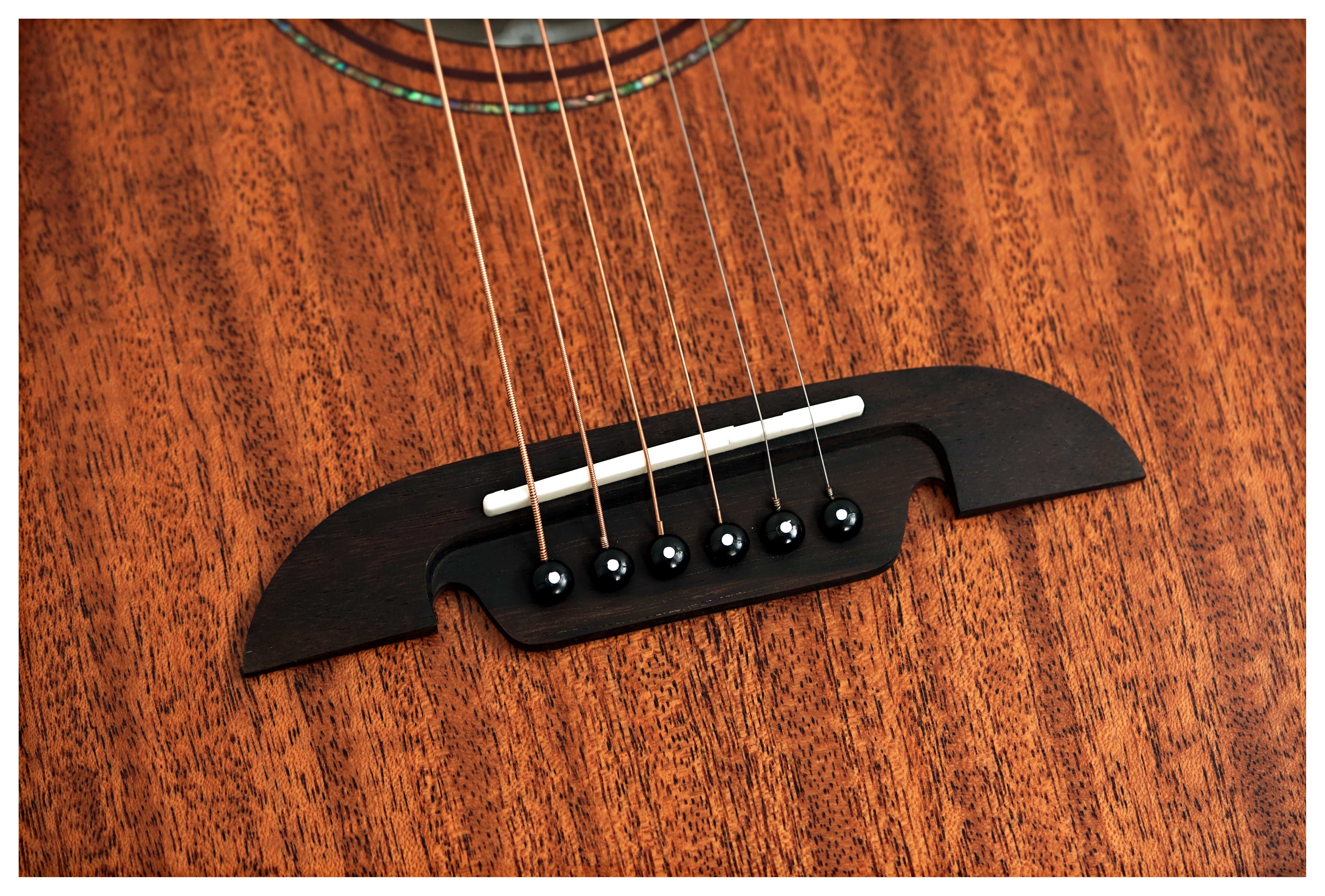 Alvarez Limited Edition Artist Series AF66 Mahogany