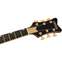 Gretsch Synchromatic Falcon Hollow Body Single-Cut with Bigsby Ebony Fingerboard Black Front View