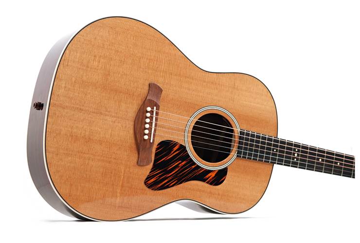 Taylor Gold Label 717e Grand Pacific #1203315033 Taylor Gold Label 717e Grand Pacific #1203315033